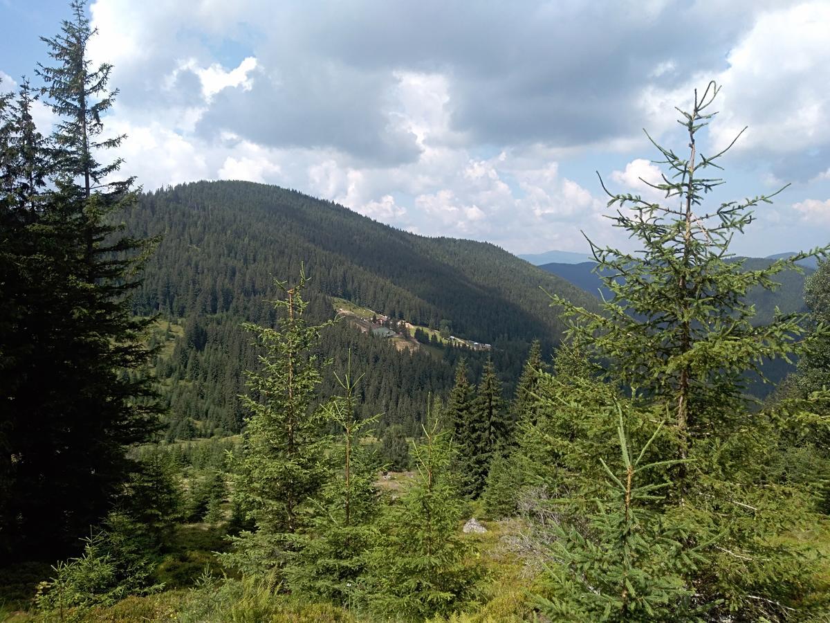 Котедж Барвінок Верховина Екстер'єр фото